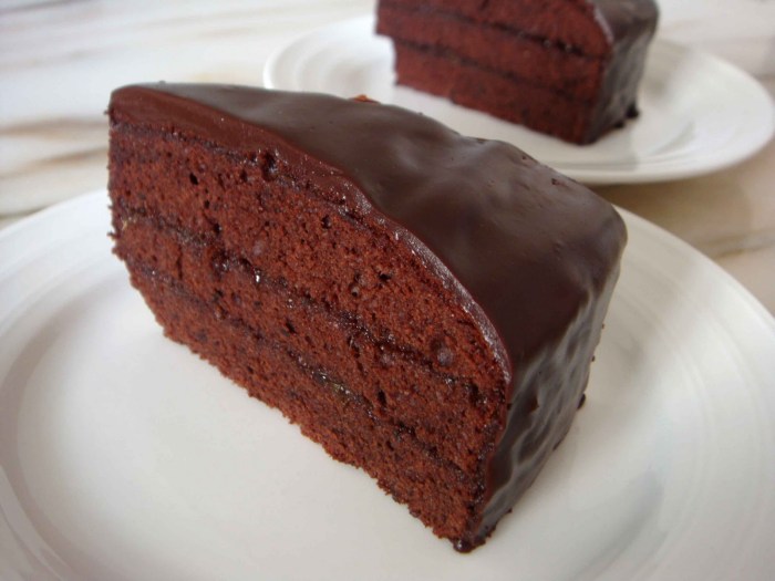 Resep kue coklat kering