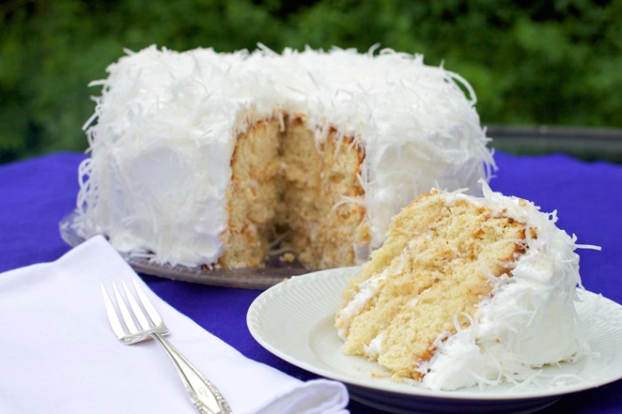 Resep kue satu kelapa