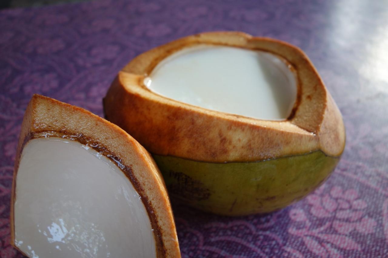 Puding Kelapa Muda