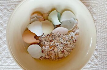 Resep Telur Geprek: Renyah, Pedas, dan Ekonomis!