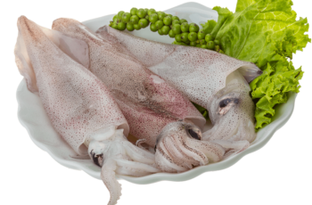 Memilih Cumi Segar untuk Masakan Rumahan yang Lezat