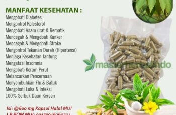 Cara Merebus Daun Kersen untuk Asam Urat Panduan Lengkap Cara Merebus Daun Kersen untuk Asam Urat Panduan Lengkap