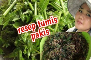 Cara Memasak Pakis Agar Tidak Berlendir Panduan Lengkap Cara Memasak Pakis Agar Tidak Berlendir Panduan Lengkap