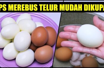 Cara Merebus Telur Puyuh Agar Tidak Pecah Cara Merebus Telur Puyuh Agar Tidak Pecah